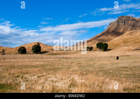 Te Mata Peek, Tukituki Tal, Fluss, Te Mata Rd, Rolling Hills von Kaokaoroa, Raukawa Ranges, Hawke's Bay, Havelock North, Neuseeland Stockfoto