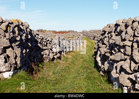 Eine grüne Gasse auf Inis Meain, Aran-Inseln, County Galway, Connaught, Irland. Stockfoto