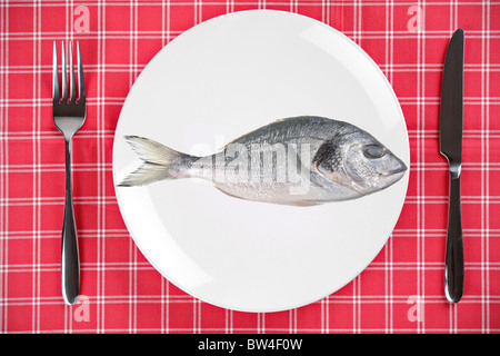 Rohem Fisch (Sparus Auratus) auf einem Teller Stockfoto