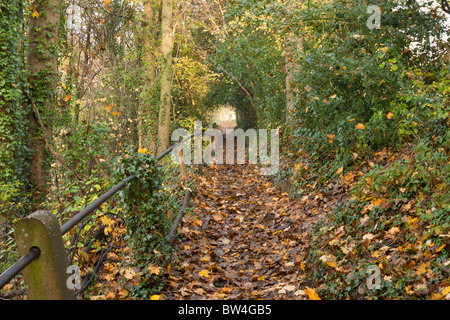 Blatt bedeckt [öffentlichen Fußweg] Stockfoto