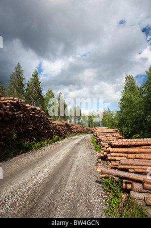 Leere finnische Forststraße im Taiga-Wald und Pinien-Haufen ( pinus sylvestris ) logs entlang es warten auf den Transport , Finnland Stockfoto