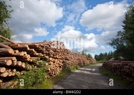 Leere finnische Forststraße im Taiga-Wald und Pinien-Haufen ( pinus sylvestris ) logs entlang es warten auf den Transport , Finnland Stockfoto