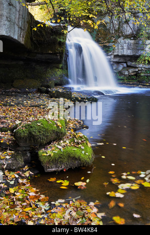 Die wichtigsten Kaskade im Westen Burton verliebt sich in Wensleydale, Yorkshire Stockfoto