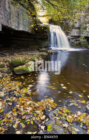 Die wichtigsten Kaskade im Westen Burton verliebt sich in Wensleydale, Yorkshire Stockfoto