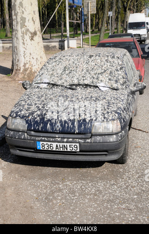 Auto unter einem Baum bedeckt in Vogelkot und mit mehreren Parkplatz Tickets. Stockfoto