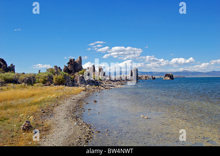 Tuffstein-Türme in mono lake Stockfoto