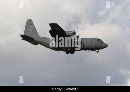 Kanadische Streitkräfte C-130 Hercules Military Transport Flugzeug fliegen auf Ansatz Stockfoto