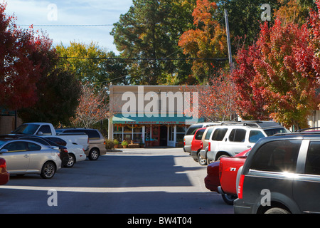 Kleine Unternehmen entlang der Beaufort Street in Chapin, SC im Herbst. Chapin ist eine Kleinstadt in den Midlands von South Carolina, USA. Stockfoto