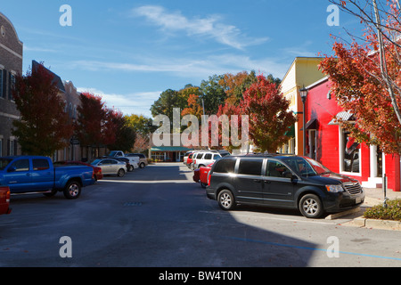 Unternehmen und verschiedene Geschäfte entlang der Beaufort Street in Chapin, SC im Herbst. Chapin ist eine Kleinstadt in den Midlands von SC, USA. Stockfoto