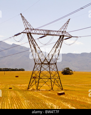 Strom Pylon stehen in einem Feld von gelben Stoppeln mit Bergen im Hintergrund Stockfoto