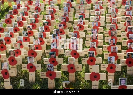 Walled Garden of Remembrance Stockfoto