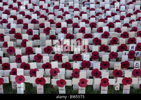 Walled Garden of Remembrance Stockfoto