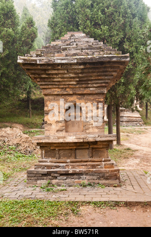 Pagode in der Pagode Waldfriedhof, Shaolin Tempel, Song Shan, nahe Dengfeng in Zhengzhou, Provinz Henan, China Stockfoto