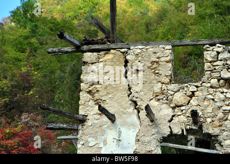 verlassenes Haus mit Hintergrund Lärche Stockfoto