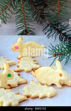 Dessert Cookies Kaninchen-Symbol 2011 auf weißem Papier Stockfoto