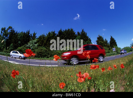 niedrigen Winkel des Fahrzeugs entlang einspurigen Straße, die Poppys und wilde Blumen in der Nähe von York Yorkshire UK Stockfoto