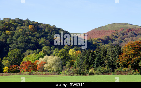 MALVERN HILLS IM SPÄTHERBST.  WORCESTERSHIRE.  ENGLAND.  UK Stockfoto