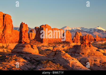 Suchen Sie in der Windows-Sektion aus dem Garten Eden, Arches-Nationalpark, Utah Stockfoto