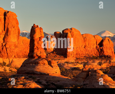 Suchen Sie in der Windows-Sektion aus dem Garten Eden, Arches-Nationalpark, Utah Stockfoto