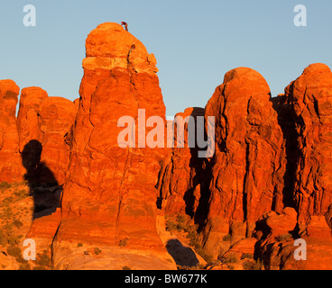 Bergsteiger auf Owl-Rock im Garten Eden Bereich, Arches-Nationalpark, Utah Stockfoto