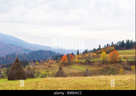 Herbstliche Aussicht der Karpaten. Ukraine Stockfoto