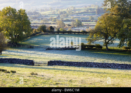 Frostiger Morgen Blick auf Wensleydale in Yorkshire Dales National Park Stockfoto