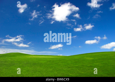 Schöne grüne Landschaft mit einem großen blauen Himmel mit weißen Wolken Stockfoto