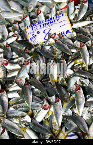 ISTANBUL, TÜRKEI. Fangfrische Makrelen zum Verkauf auf dem Fischmarkt (Balikcisi) von der Galata-Brücke in Karaköy Bezirk. 2010 Stockfoto