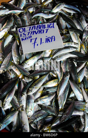 ISTANBUL, TÜRKEI. Fangfrische Makrelen zum Verkauf auf dem Fischmarkt (Balikcisi) von der Galata-Brücke in Karaköy Bezirk. 2010 Stockfoto