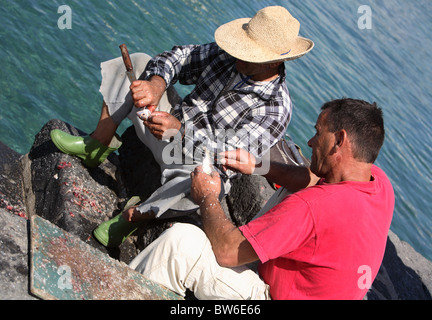 Einheimischen Fischern Fisch für Sasle ausnehmen. Lanzarote Kanarische Inseln Stockfoto