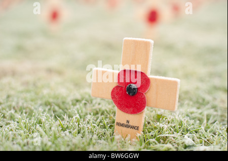 Nahaufnahmen von Holzkreuzen, die Erinnerung an die Helden Demokratie zum Gedenken an das Ende des ersten Weltkrieges am Remembrance Day England Stockfoto