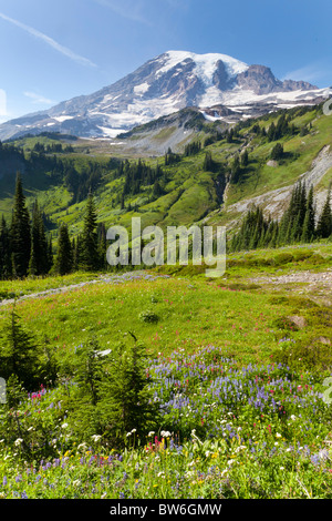 Mount Rainier, Washington, USA Stockfoto