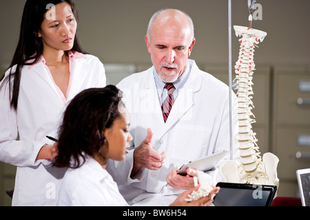 Ärzteteam Diskussion, Prüfung Skelettmodell Stockfoto