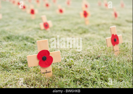 Nahaufnahmen von Holzkreuzen, die Erinnerung an die Helden Demokratie zum Gedenken an das Ende des ersten Weltkrieges am Remembrance Day England Stockfoto