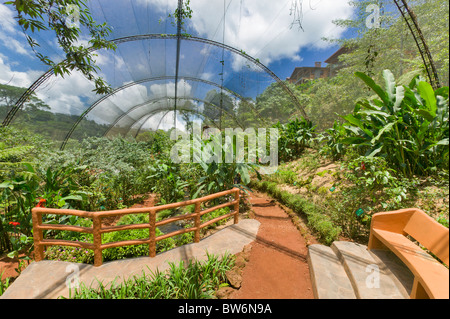 La Paz Wasserfall, Kolibri und Schmetterling Farm, Costa Rica, Mittelamerika Stockfoto