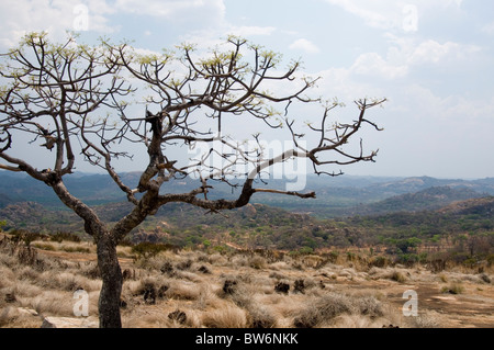 Landschaft nahe dem Grab von Cecil Rhodes bei Weltbild in den Matopos Hügeln, westlichen Simbabwe Stockfoto