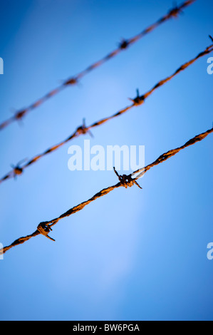 Nahaufnahme von rostigen, alten Stacheldraht vor blauem Himmel Stockfoto