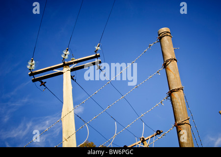 Stromleitung wird von einem Stacheldrahtzaun bewacht. Stockfoto