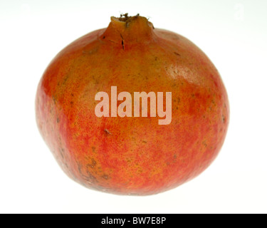 ganze Granatapfel auf weißem Hintergrund Stockfoto