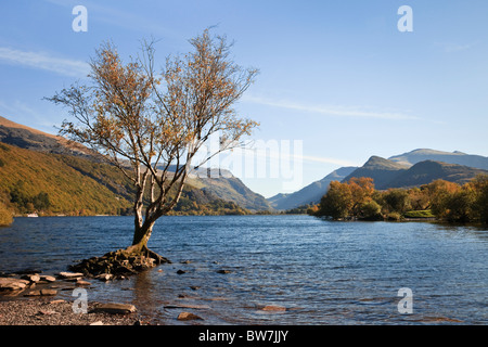 Llyn Padarn See entlang nach Mount Snowdon in Snowdonia-Nationalpark anzeigen Padarn Country Park Llanberis Gwynedd Nordwales UK Stockfoto