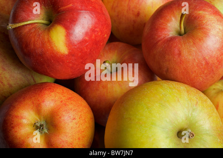 Auswahl an englischen Äpfel Stockfoto