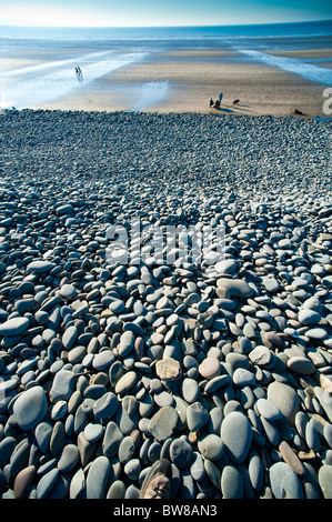 Pebble Grat an der Küste bei Westward Ho! Devon UK Stockfoto