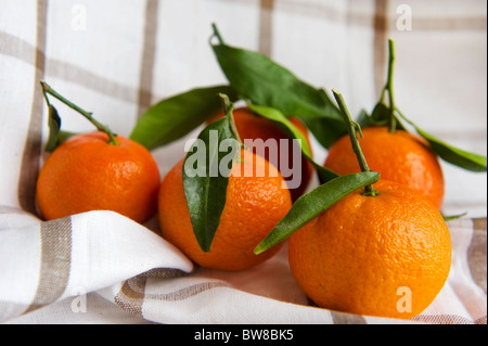 Stillleben mit Mandarinen und grünen Blättern Stockfoto