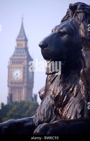 Einer der Edwin Landseers Löwen auf dem Trafalgar Square mit Houses of Parliament Uhrturm (Big Ben) im Hintergrund London England UK Stockfoto