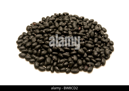 Schwarze Schildkröte Bohnen auf weißem Hintergrund Stockfoto