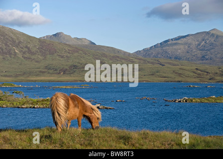 Loch Druidibeg South Uist, äußeren Hebriden, Western Isles, Schottland.  SCO 6488 Stockfoto