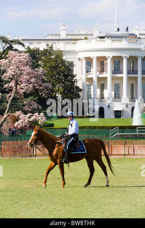 Das weiße Haus, Washington DC. Zwei geheime Service-Männer auf dem Dach. Einen Park montiert Polizisten patrouillieren in den Garten im Frühjahr Stockfoto