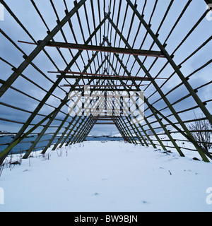 Leere Kabeljau trocknen Racks im Schnee, Lofoten Inseln, Norwegen Stockfoto