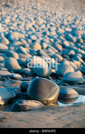 Felsen am Pebble Ridge, Westward Ho! Devon UK Stockfoto