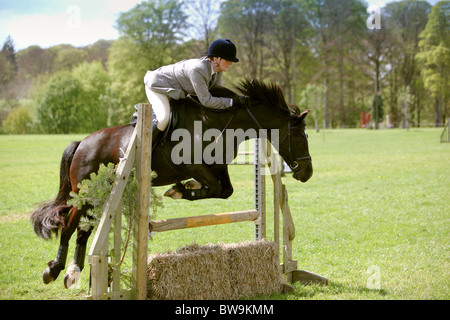 Arbeiten Jäger clearing natürlichen Zaun während show Stockfoto